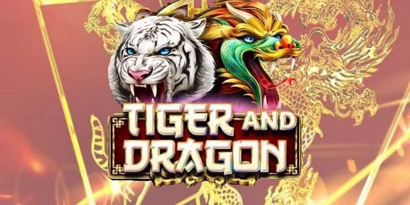 Dragon Tiger and special features in the betting world