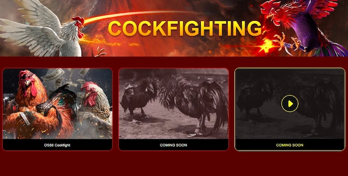 Cockfighting