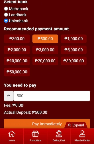 Step 3: Select your payment amount. 