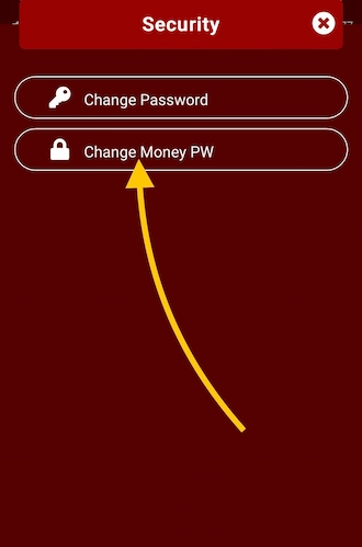 Step 2: Select Change Money PW.