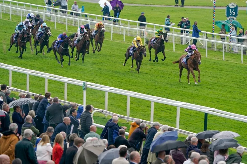 Benefits of Horse Racing Betting