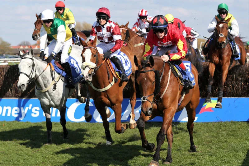 Common Mistakes When Betting on Horse Racing